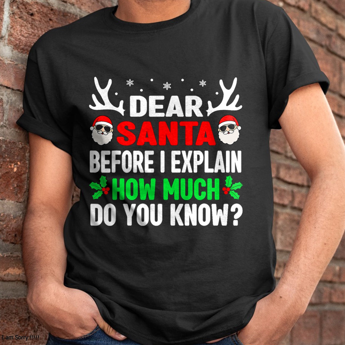 Funny Christmas Kids Adults Dear Santa I Can Explain T-Shirt - Christmas Unisex T-Shirt/Hoodie/Sweatshirt - ZON00