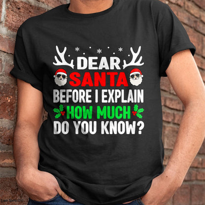 Funny Christmas Kids Adults Dear Santa I Can Explain T-Shirt - Christmas Unisex T-Shirt/Hoodie/Sweatshirt - ZON00