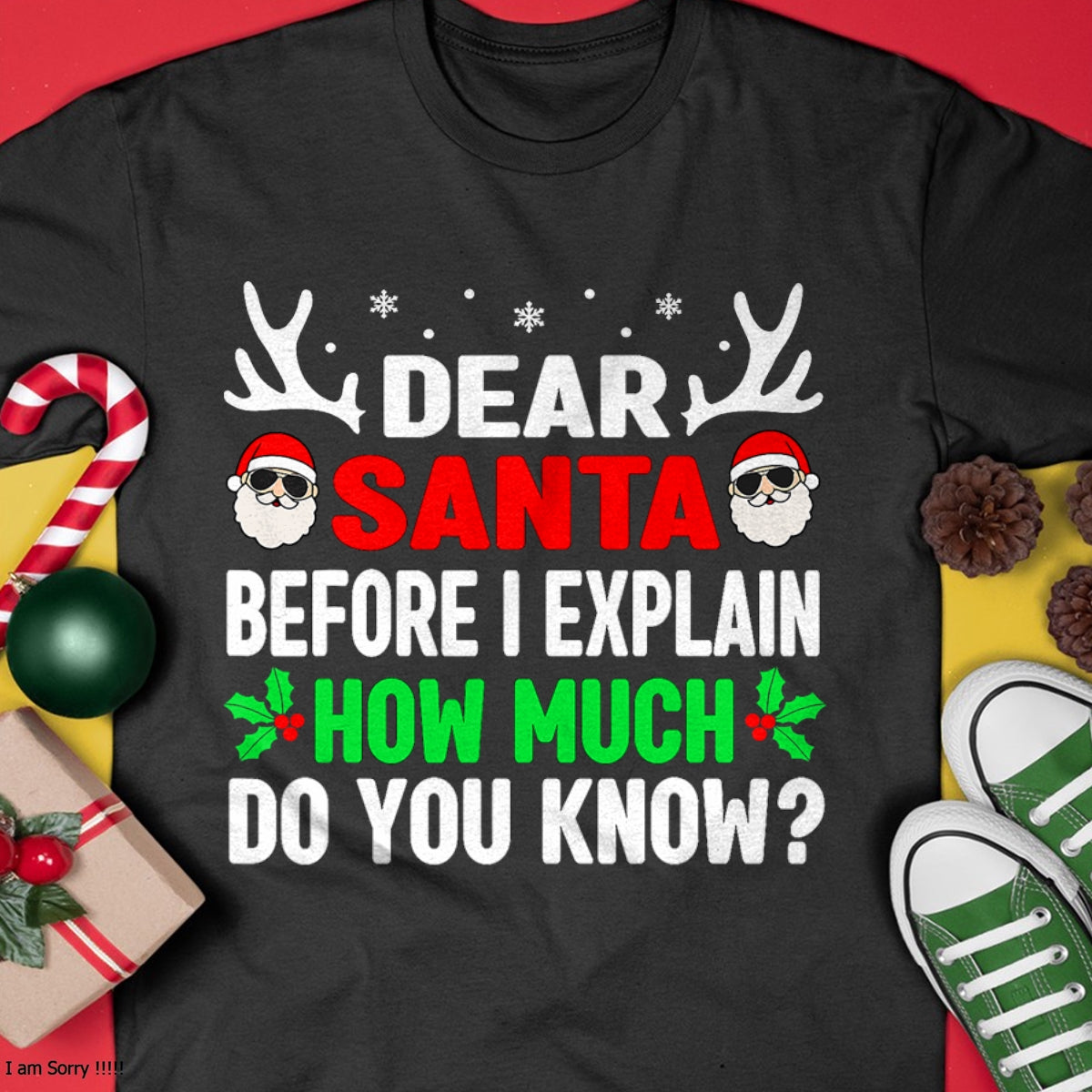 Funny Christmas Kids Adults Dear Santa I Can Explain T-Shirt - Christmas Unisex T-Shirt/Hoodie/Sweatshirt - ZON00