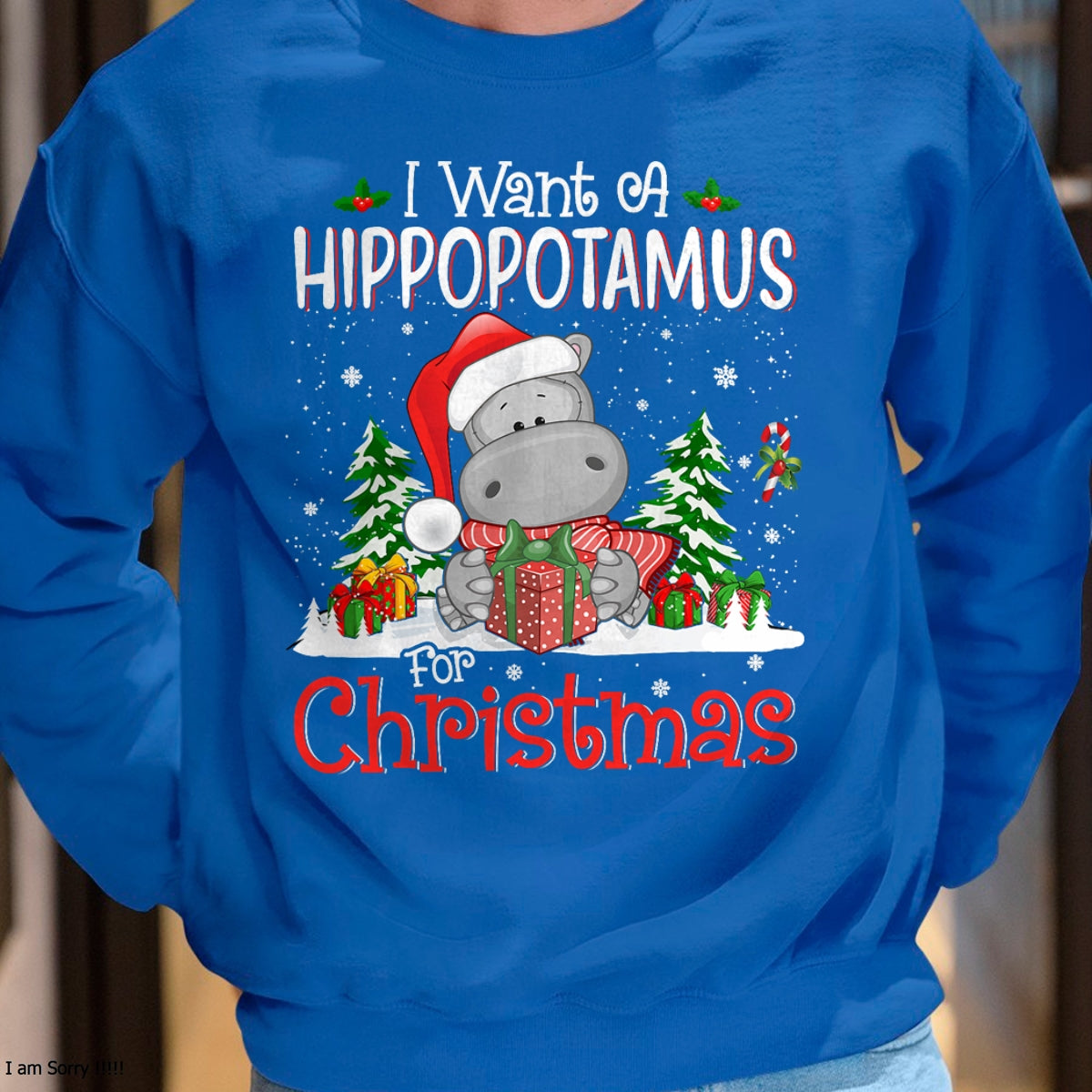 I Want A Hippopotamus For Christmas Xmas Hippo for Kid Women T-Shirt - Christmas Unisex T-Shirt/Hoodie/Sweatshirt - ZON00