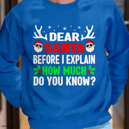 Funny Christmas Kids Adults Dear Santa I Can Explain T-Shirt - Christmas Unisex T-Shirt/Hoodie/Sweatshirt - ZON00