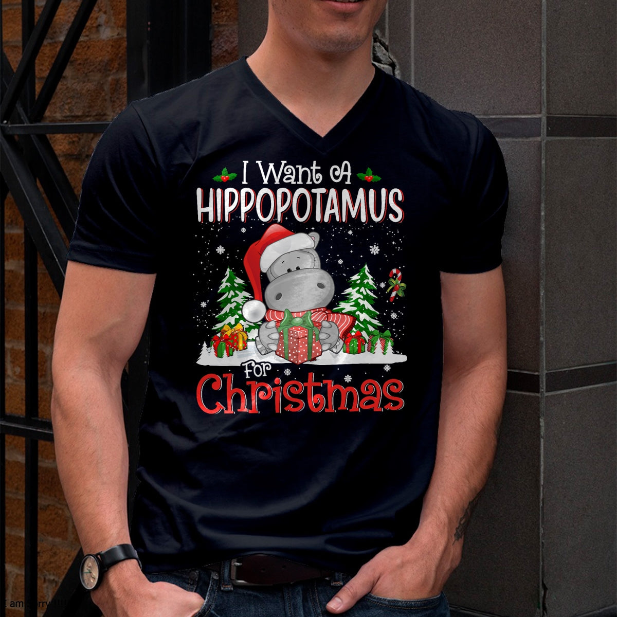 I Want A Hippopotamus For Christmas Xmas Hippo for Kid Women T-Shirt - Christmas Unisex T-Shirt/Hoodie/Sweatshirt - ZON00