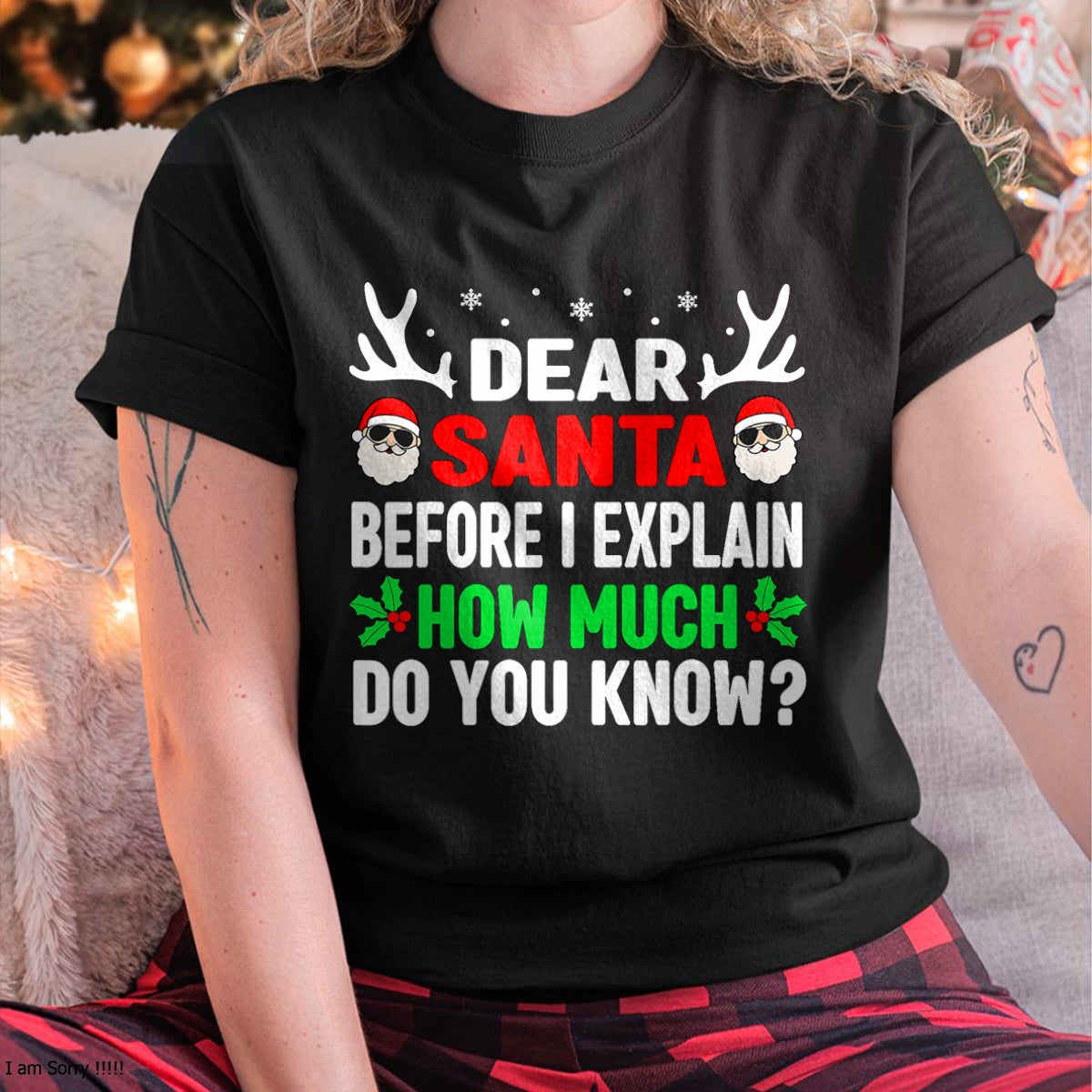 Funny Christmas Kids Adults Dear Santa I Can Explain T-Shirt - Christmas Unisex T-Shirt/Hoodie/Sweatshirt - ZON00