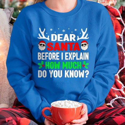 Funny Christmas Kids Adults Dear Santa I Can Explain T-Shirt - Christmas Unisex T-Shirt/Hoodie/Sweatshirt - ZON00